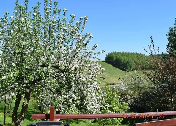 Agrowczasy U Bartka مزرعة للإقامة